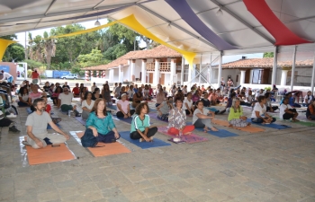 Yoga enthusiasts participated in the event organised by the Embassy of India at La Estancia Park in Caracas.